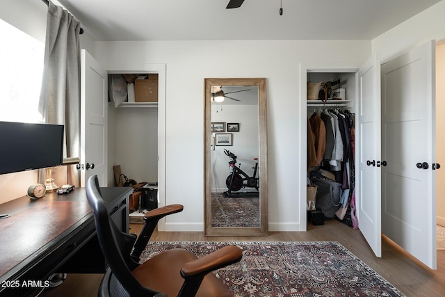 home office with ceiling fan and wood-type flooring