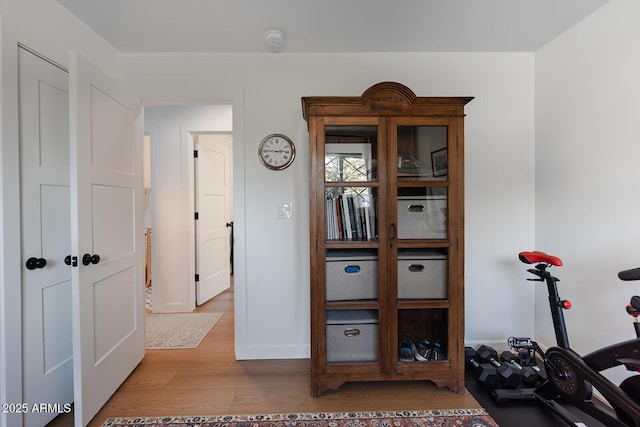 interior space featuring light hardwood / wood-style floors