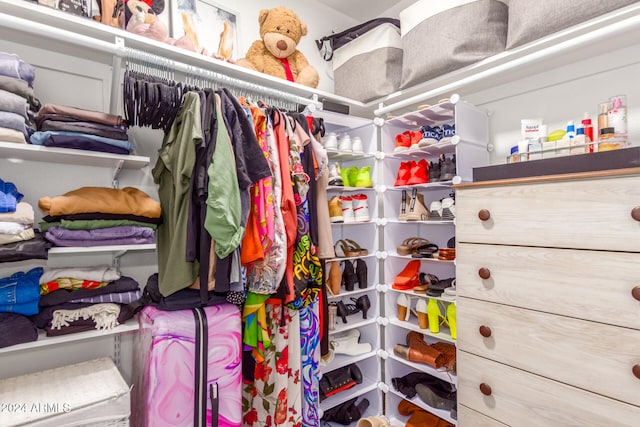 view of walk in closet