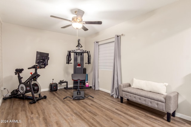 workout area with ceiling fan and light hardwood / wood-style floors