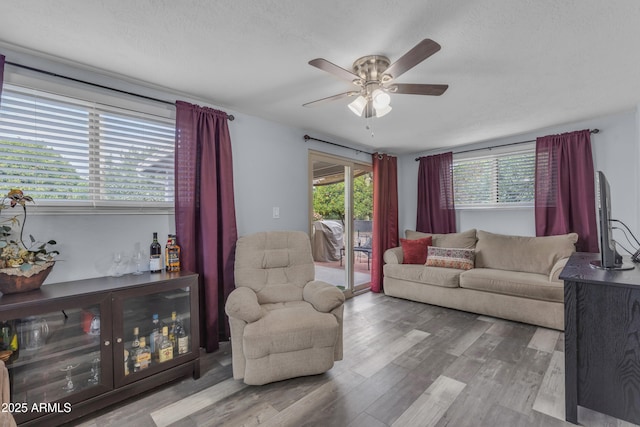 living room featuring ceiling fan and wood finished floors