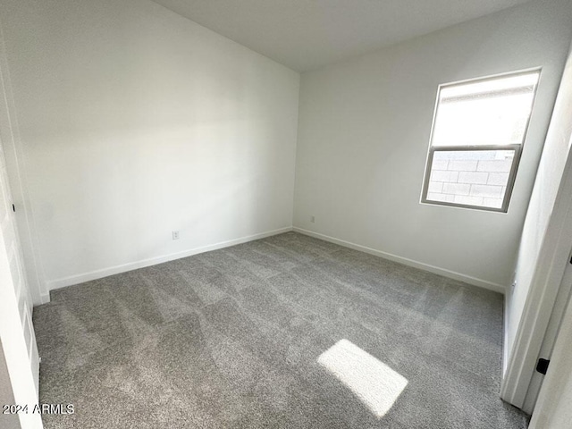 spare room with carpet