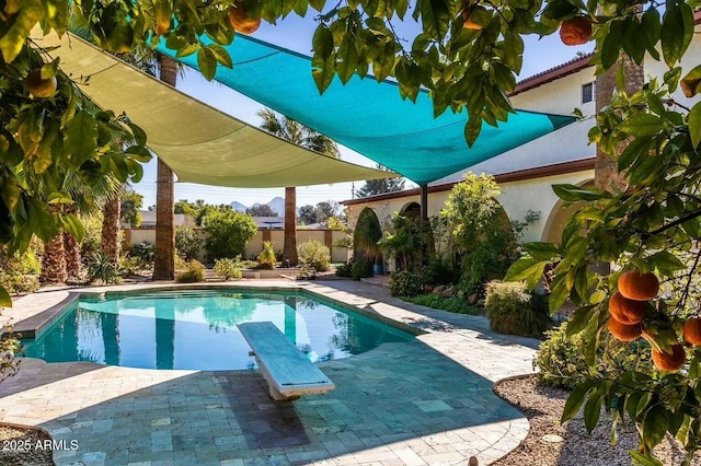 8426 N 15th Dr, Phoenix, AZ 85021 - view of swimming pool featuring a fenced backyard, a diving board, a patio, and a fenced in pool