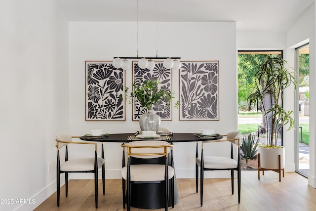 dining area with light hardwood / wood-style flooring