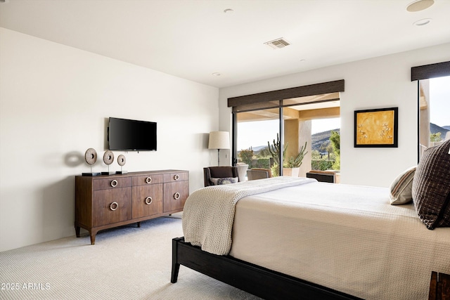 9894 E Miramonte Dr, Scottsdale, AZ 85262 - bedroom with light carpet