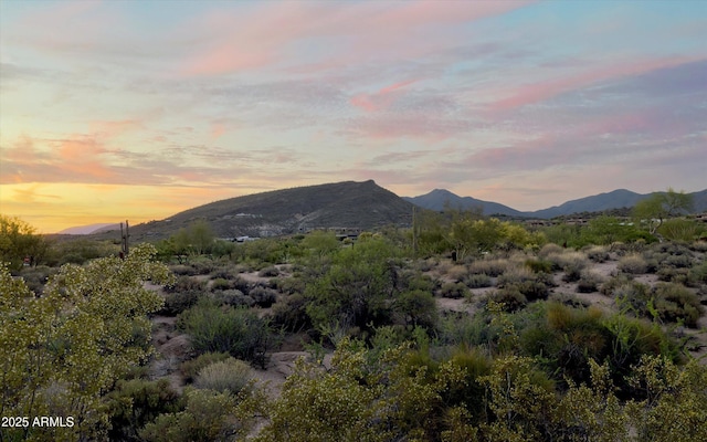 9894 E Miramonte Dr, Scottsdale, AZ 85262 - mountain view