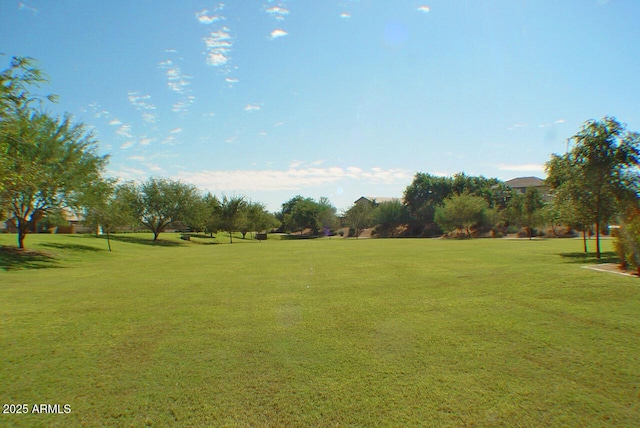 view of community featuring a lawn