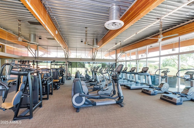 3932 E Melinda Dr, Phoenix, AZ 85050 - exercise room featuring carpet floors and floor to ceiling windows