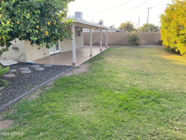 view of yard featuring a patio