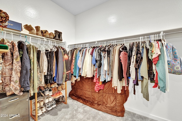 spacious closet with carpet