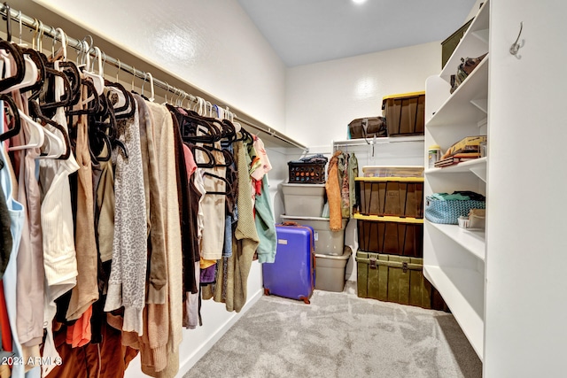 walk in closet featuring carpet flooring