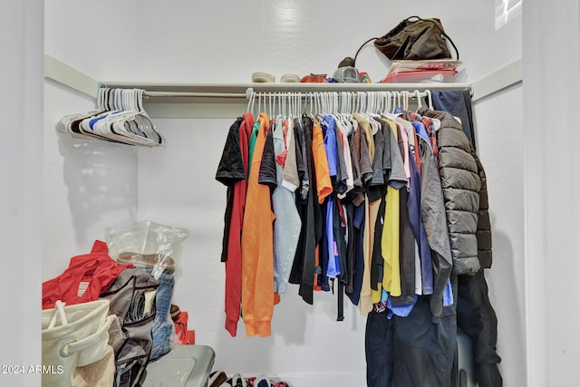 view of spacious closet