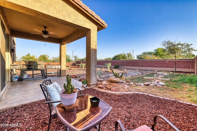 view of yard with a patio and ceiling fan