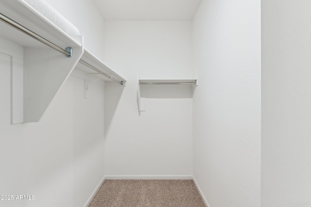 17806 W Vogel Ave, Waddell, AZ 85355 - walk in closet with carpet flooring