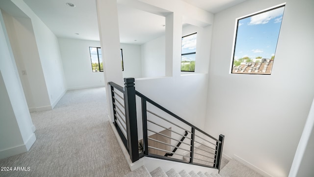 staircase featuring carpet flooring