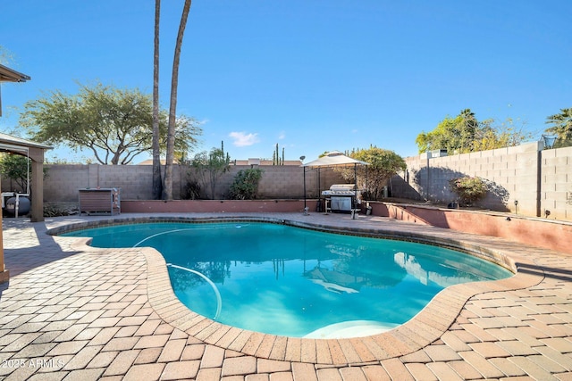 view of pool with a patio area and a grill