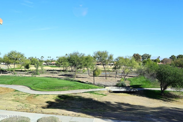 surrounding community featuring a yard