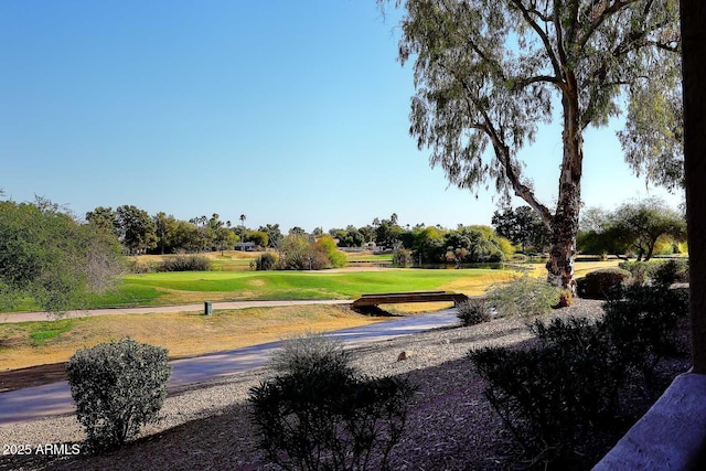 view of property's community with a yard