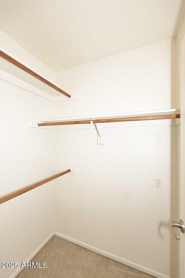 spacious closet featuring carpet floors