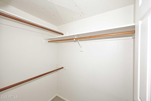 view of walk in closet