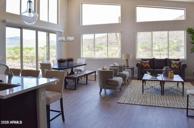 living room with wood finished floors, a high ceiling, and a mountain view