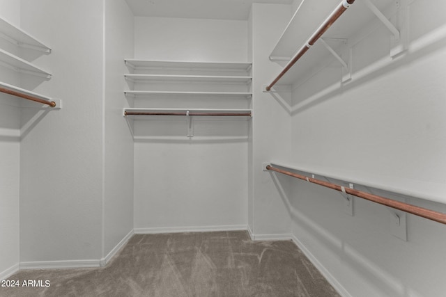 spacious closet with carpet flooring