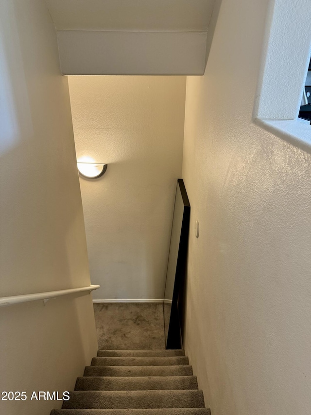 stairway featuring carpet floors