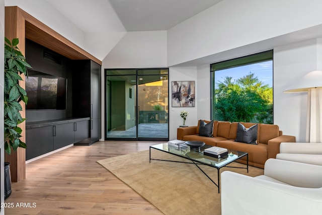 living room with wood finished floors