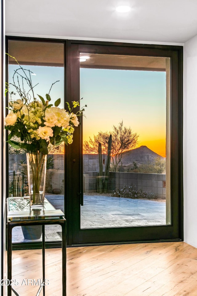 doorway to outside featuring hardwood / wood-style floors