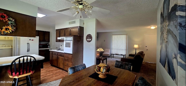 kitchen with dark brown cabinetry, a textured ceiling, white appliances, washer / clothes dryer, and light hardwood / wood-style floors