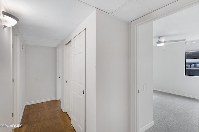 hallway featuring dark hardwood / wood-style floors