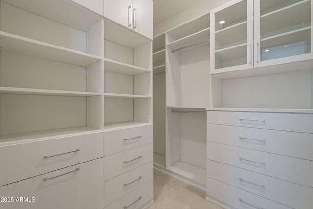 view of spacious closet