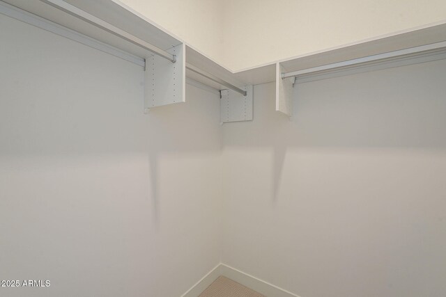 view of walk in closet
