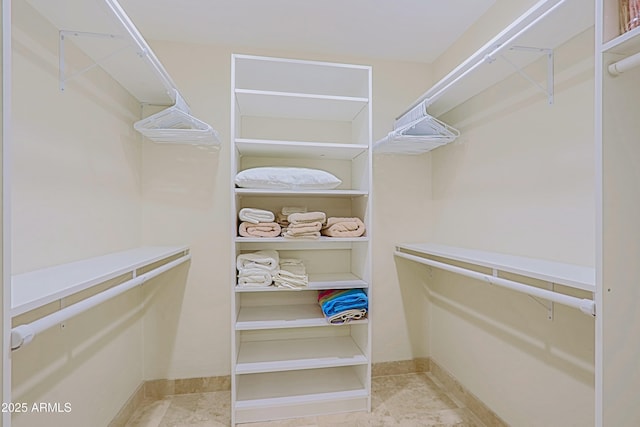 view of spacious closet