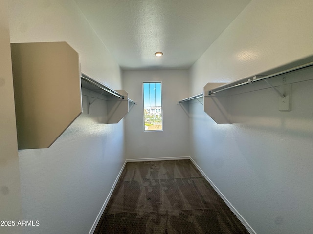 spacious closet with carpet floors