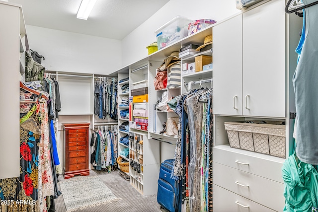 view of walk in closet