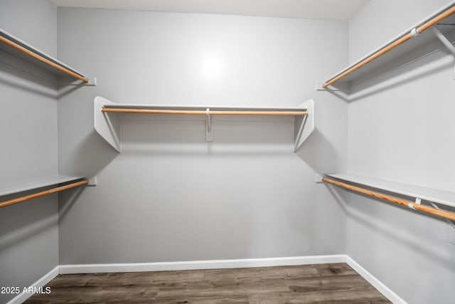 16763 W Magnolia St, Goodyear, AZ 85338 - spacious closet featuring wood finished floors