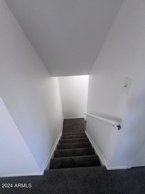 stairs with carpet flooring