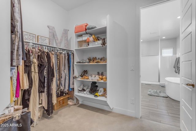 view of walk in closet
