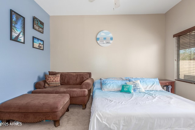 4817 W St Charles Ave, Laveen, AZ 85339 - view of carpeted bedroom