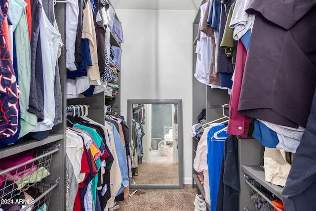 spacious closet featuring carpet floors