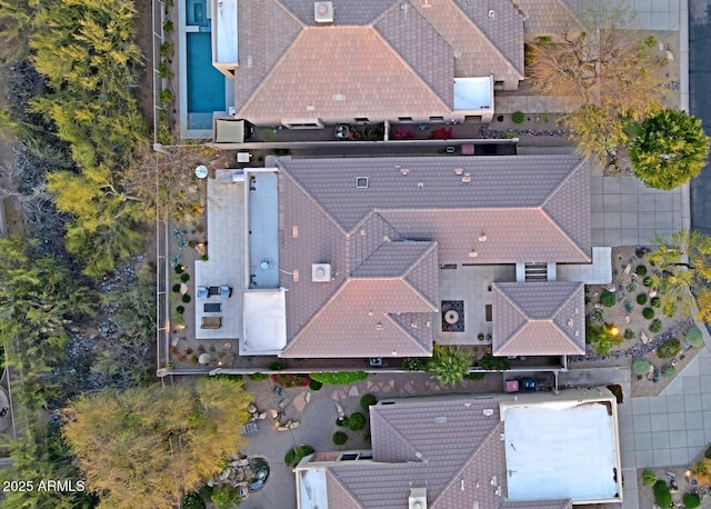 bird's eye view