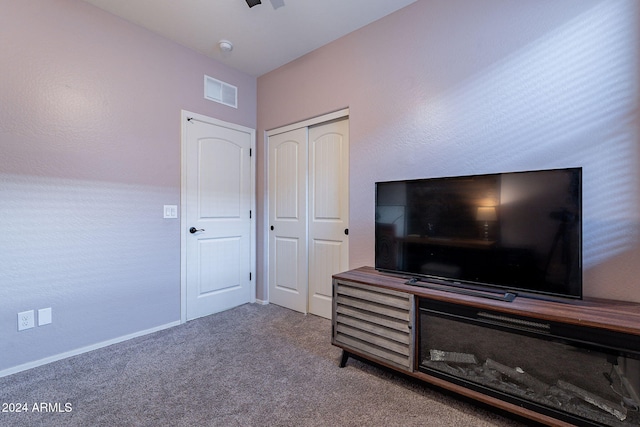 interior space featuring carpet and a closet