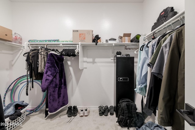 walk in closet featuring carpet flooring