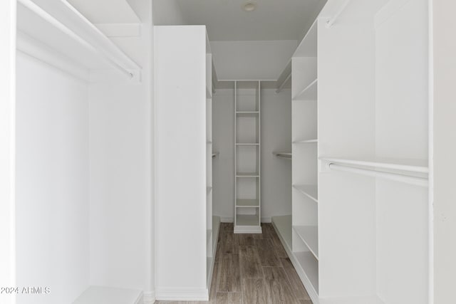 spacious closet with hardwood / wood-style floors