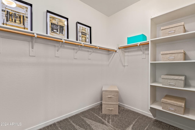 walk in closet with dark carpet