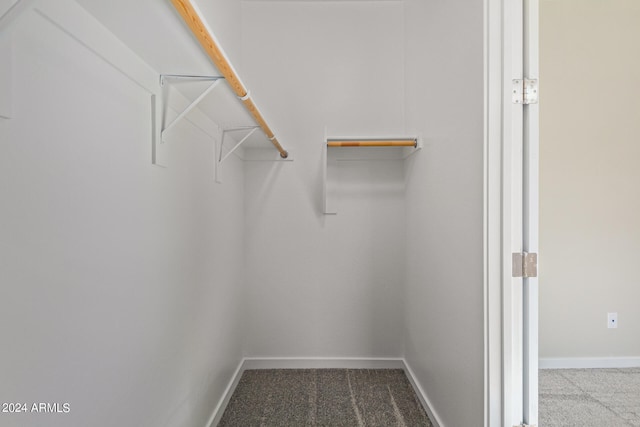 spacious closet with carpet floors