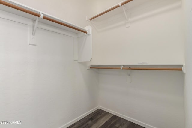 20919 E Desert Hills Blvd, Queen Creek, AZ 85142 - walk in closet featuring dark wood-type flooring
