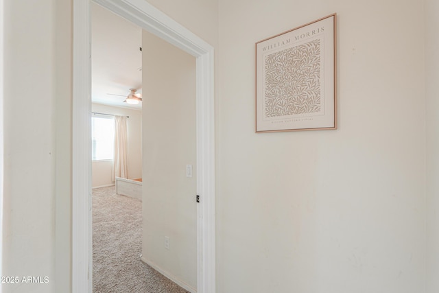 36467 W Pampoloma Ave, Maricopa, AZ 85138 - hallway with carpet