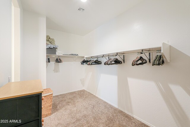 36467 W Pampoloma Ave, Maricopa, AZ 85138 - spacious closet with carpet floors